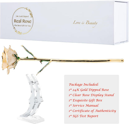 24K Gold Dipped Rose, Gold Dipped Rose Made from Real Rose Best Gifts for Her and Great Gifts for My Love, Ivory with Stand